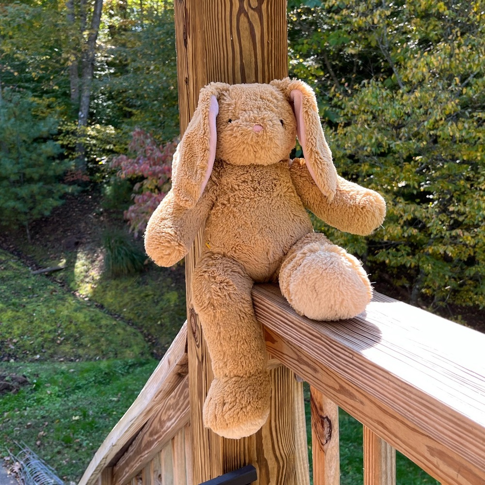 Build-A-Bear Bunny Lop Ear